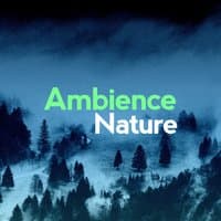 Ambience Nature