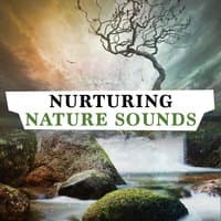 Nurturing Nature Sounds