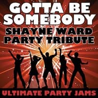 Gotta Be Somebody (Shayne Ward Party Tribute)