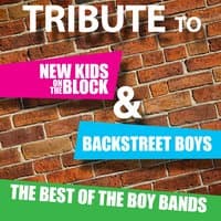 Tribute to New Kids On The Block and Backstreet Boys: The Best of the Boy Bands