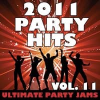 2011 Party Hits Vol. 11