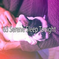 63 Serene Sleep Tonight