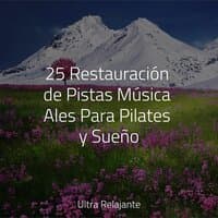 25 Restauración de Pistas Música Ales Para Pilates y Sueño