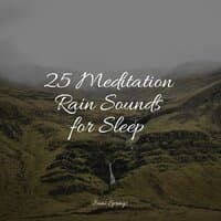 25 Meditation Rain Sounds for Sleep