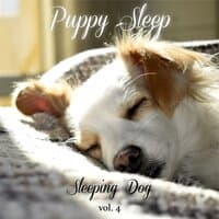 Sleeping Dog Volume 4