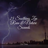 25 Soothing Zen Rain & Nature Sounds