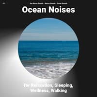 #01 Ocean Noises for Relaxation, Sleeping, Wellness, Walking