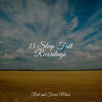 35 Sleep Fall Recordings