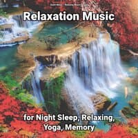 Relaxation Music for Night Sleep, Relaxing, Yoga, Memory