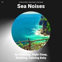 #01 Sea Noises for Relaxing, Night Sleep, Studying, Calming Baby