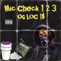 Mic Check 1 2 3