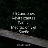 35 Canciones Revitalizantes Para la Meditación y el Sueño