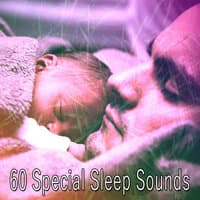 60 Special Sleep Sounds