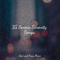 35 Serene Serenity Songs