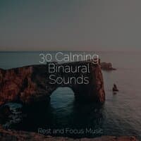 30 Calming Binaural Sounds