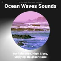 #01 Ocean Waves Sounds for Relaxation, Night Sleep, Studying, Neighbor Noise