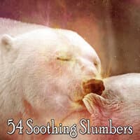 54 Soothing Slumbers