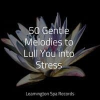 50 Gentle Melodies to Lull You into Stress