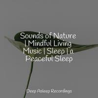 Sounds of Nature | Mindful Living Music | Sleep | a Peaceful Sleep