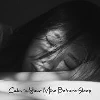 Calm in Your Mind Before Sleep (New Age Music Perfect for Quickly Fall Asleep)