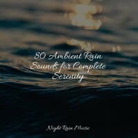 80 Ambient Rain Sounds for Complete Serenity