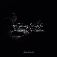 25 Calming Sounds for Inducing Meditation