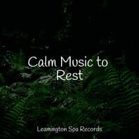 Calm Music to Rest