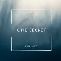 One Secret