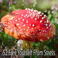 52 Free Yourself from Stress