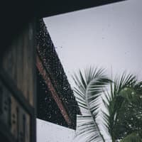 25 Deeply Calming Sounds of Rain for Sleep