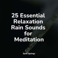 25 Essential Relaxation Rain Sounds for Meditation