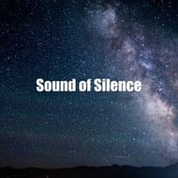 Sound of Silence