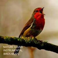 Nature Sound: Instrumental Birds Music