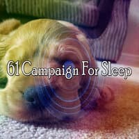 61 Campaign for Sleep