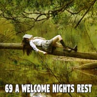 69 A Welcome Nights Rest