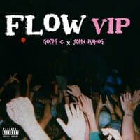 Flow Vip