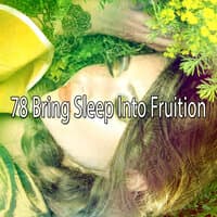 78 Bring Sleep into Fruition