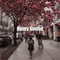 Rainy Sound