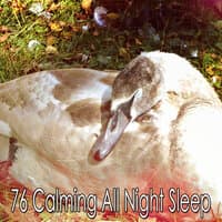 76 Calming All Night Sleep