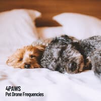 4Paws: Pet Drone Frequencies