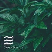 Soothing Sounds for Perfect Baby Nap and Relaxation