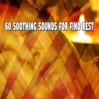 60 Soothing Sounds for Find Rest