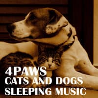 4PAWS: Cats And Dogs Sleeping Music