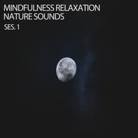 Mindfulness Relaxation Nature Sounds Ses. 1