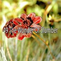 49 The Wonder of Slumber