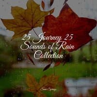 25 Journey 25 Sounds of Rain Collection