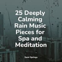 25 Deeply Calming Rain Music Pieces for Spa and Meditation