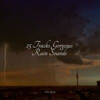 25 Tracks Gorgeous Rain Sounds