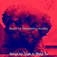 Music for Separation Anxiety