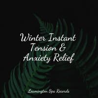 Winter Instant Tension & Anxiety Relief